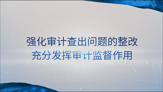 [專家談審計法]賈煥銀：強化審計查出問題的整改 充分發(fā)揮審計監(jiān)督作用